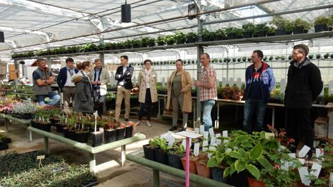 Un point presse au sein de l’exploitation d’un nouveau producteur — La serre, à Saint-Désir de Lisieux (14), pour faire connaître les établissements de production.©Astredhor Seine-Manche